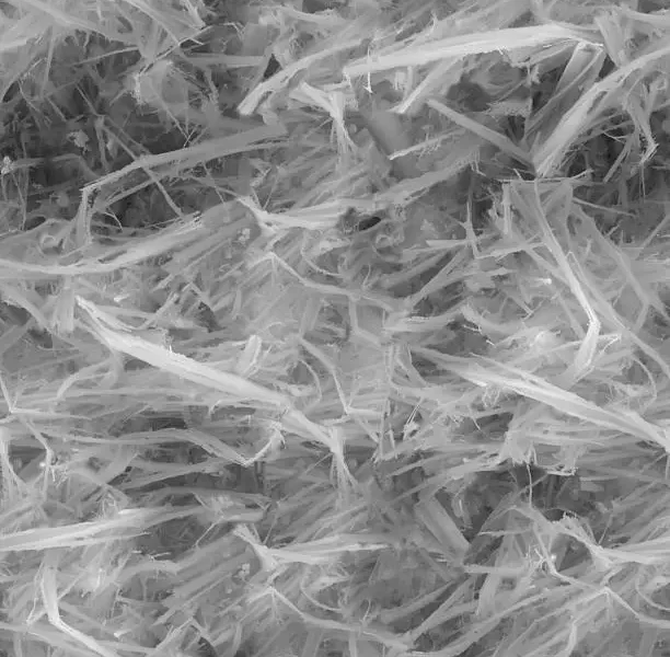 Cancer Asbestos Mesothelioma