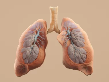 Mesothelioma and Lung Cancer