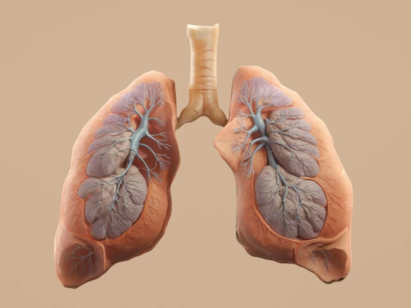Mesothelioma and Lung Cancer