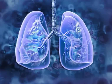 Mesothelioma Attorney Assistance